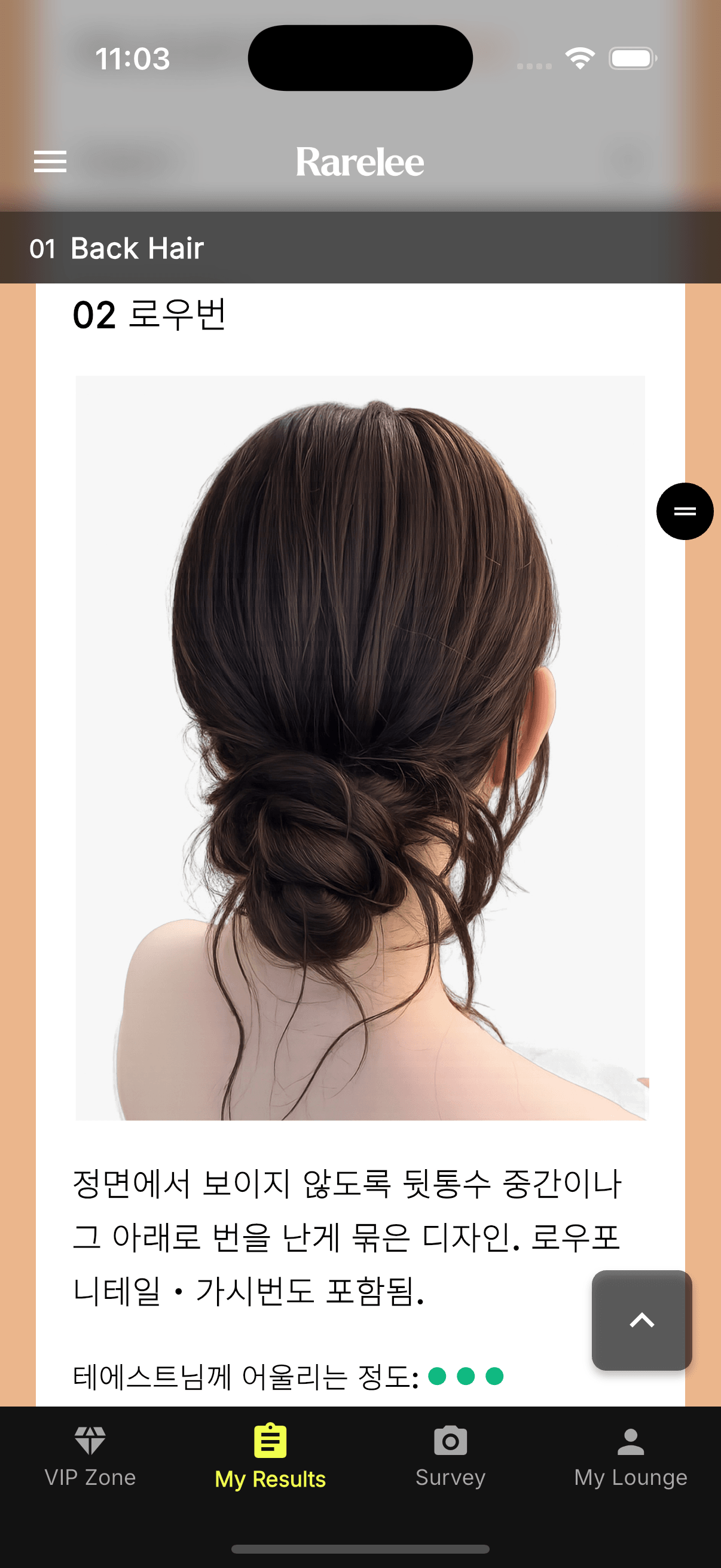 Rarelee styling result detail for a low-bun hairstyle
